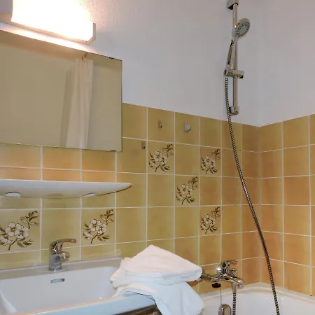 F 118 By Interhome Apartamento Dittishausen