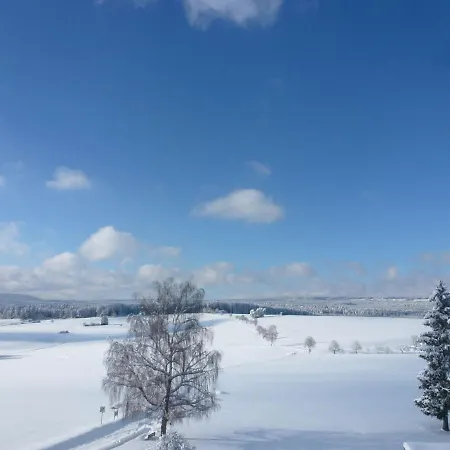 F 118 By Interhome *