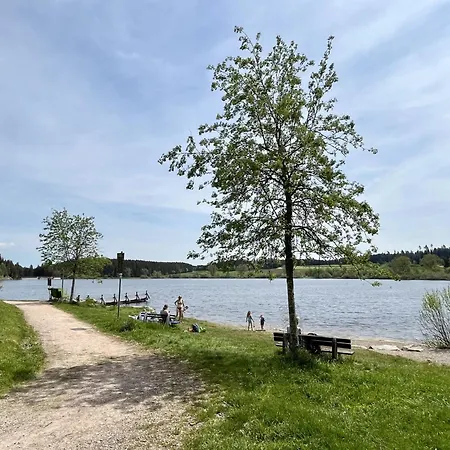 F 118 By Interhome Apartamento Dittishausen